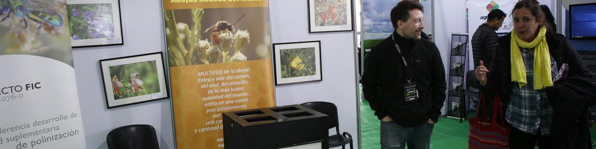 Comunidad regional pudo conocer el aporte de las Abejas Nativas