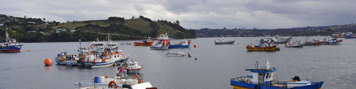 Extremos del país: El Maule como atractivo destino universitario