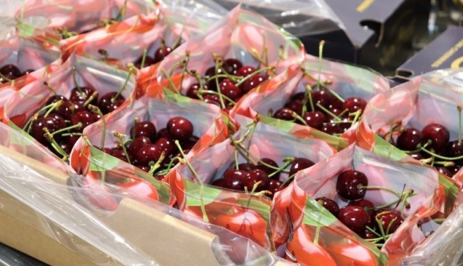 Científicos UCM crean packaging que retrasa putrefacción de fruta de exportación