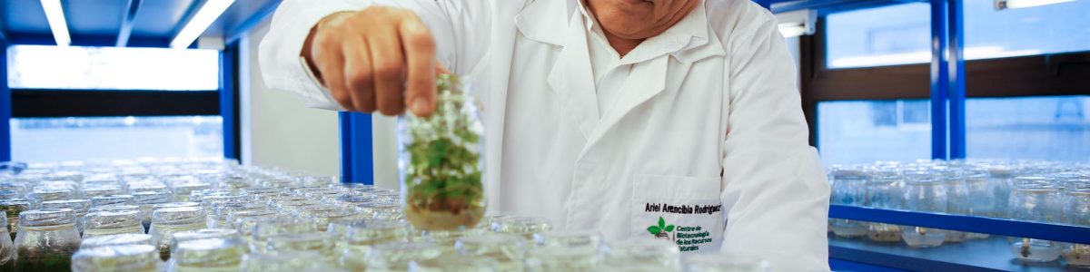 UCM participará en proyecto que contribuye al desarrollo de Productos Kilómetro Cero