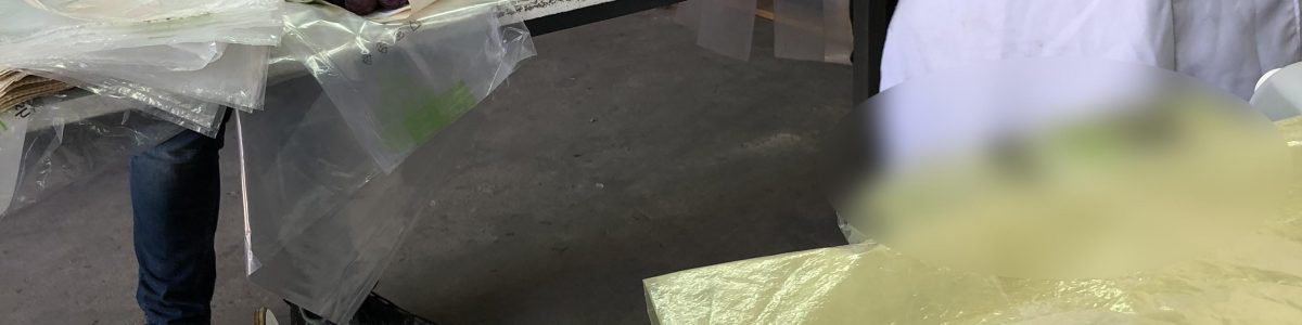 Envases 2.0: inventan hidrogel que retrasa la pudrición de frutas