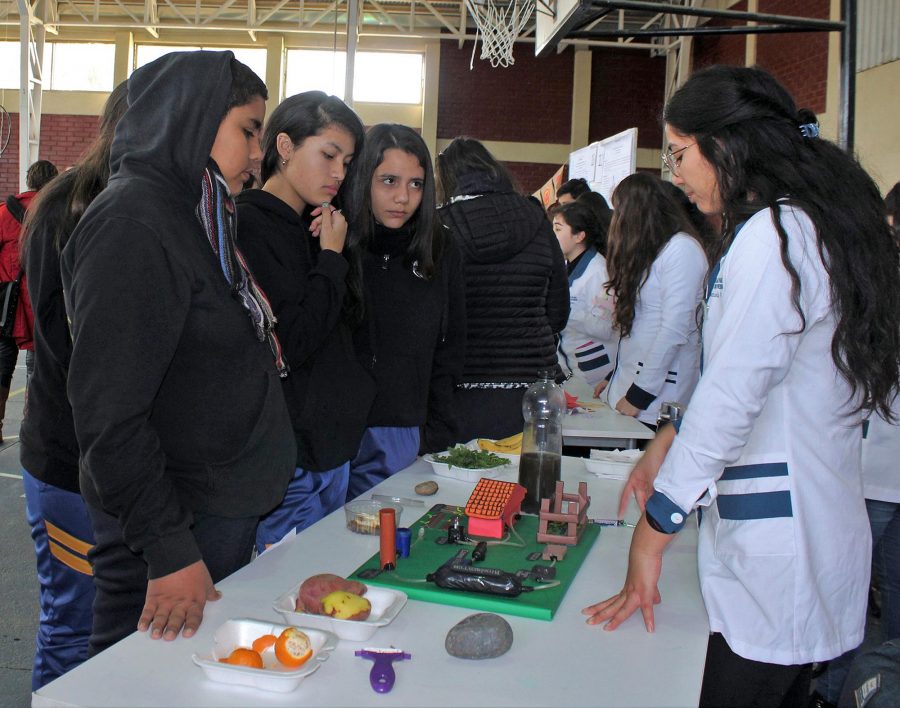 Escolares conocieron soluciones científicas sobre la utilización de energías renovables