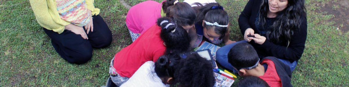 Investigan sobre la enseñanza a escolares que hablan diferentes lenguas en Chile