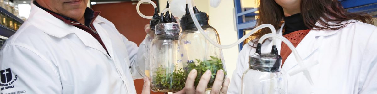 UCM proyecta internacionalizar su desarrollo tecnológico