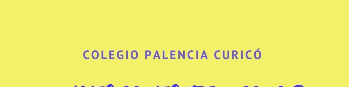 Exitoso voluntariado en Colegio Palencia