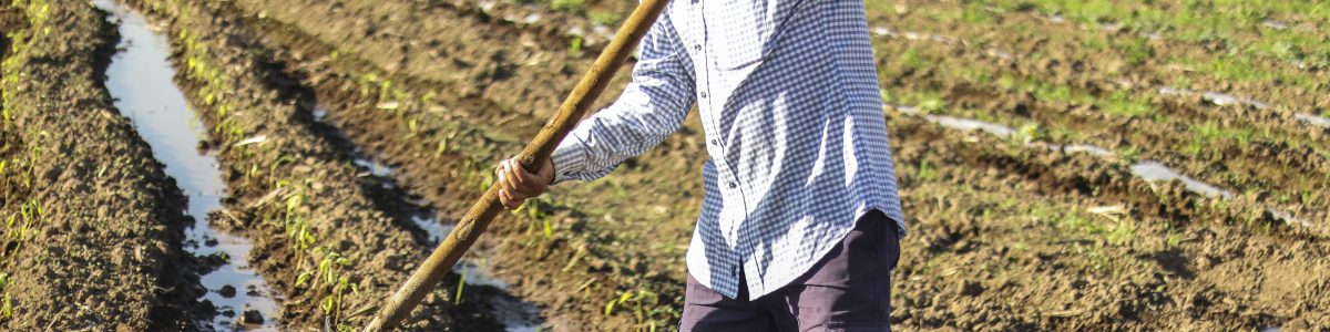 Al menos 29 mil agricultores familiares tienen derechos de agua otorgados por la autoridad, comprados y/o heredados