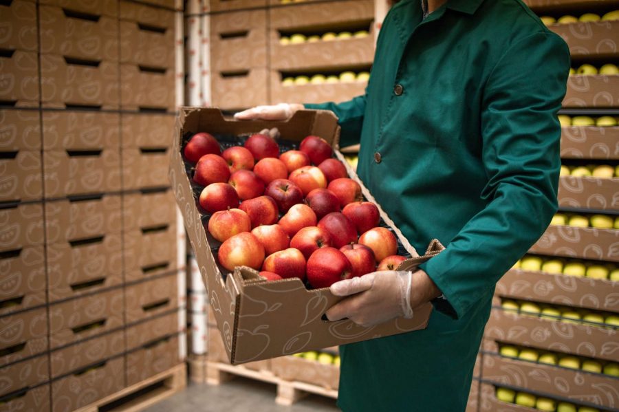 Investigan cómo desarrollar biopackaging sostenible en frutas de exportación