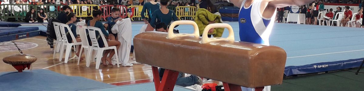 Gimnastas regionales destacaron en Uruguay