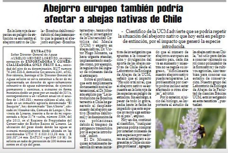 15 de marzo en Diario El Heraldo: “Abejorro europeo también podría afectar a abejas nativas de Chile”