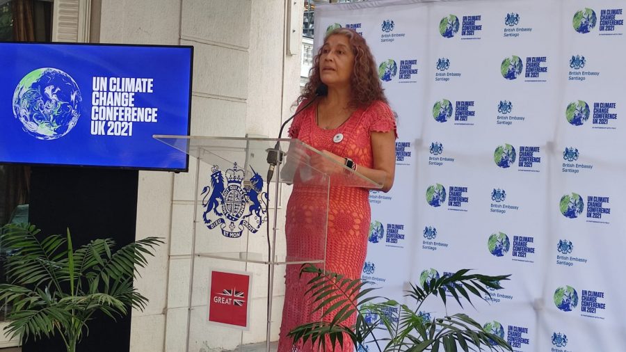 UCM presente en el lanzamiento de la Alianza para la Acción Climática Chile