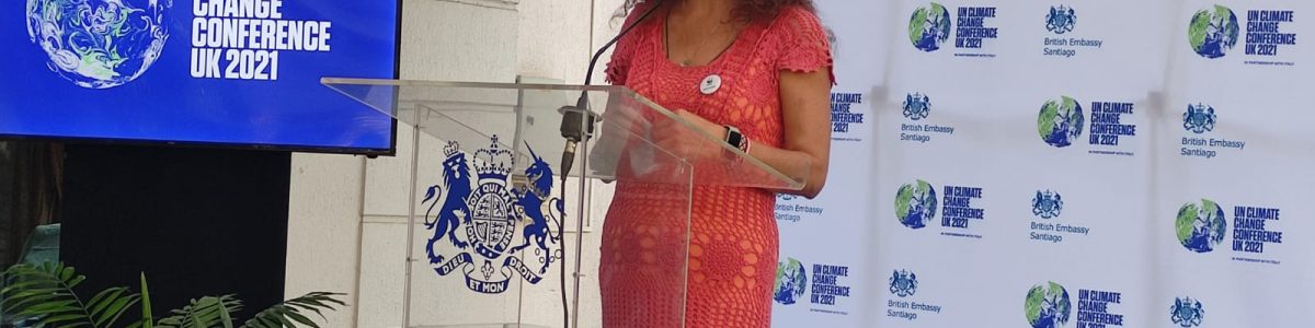 UCM presente en el lanzamiento de la Alianza para la Acción Climática Chile