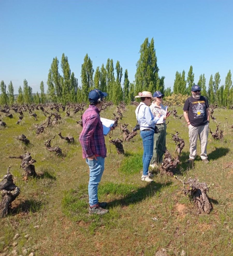 UCM lidera proyecto para preservar patrimonio cultural amenazado por el cambio climático