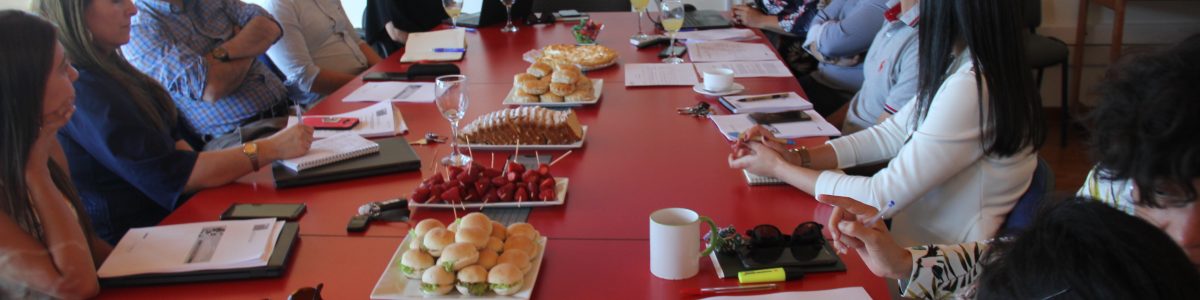 Investigadores que se adjudicaron Fondecyt de Iniciación recibieron una inducción para desarrollar sus estudios