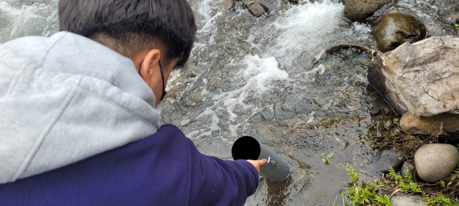 Consejos para generar una educación medioambiental en familia durante las vacaciones de invierno