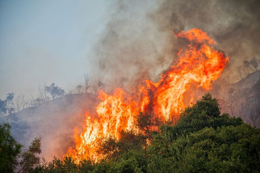 Opinión: “Cambio climático e incendios forestales”