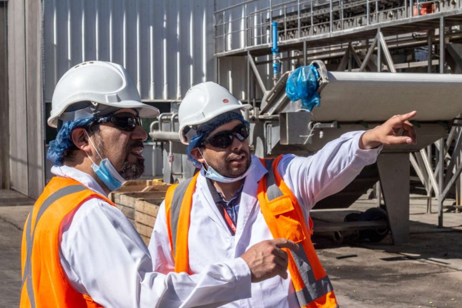 Industria manufacturera sigue impulsando el empleo en el Maule
