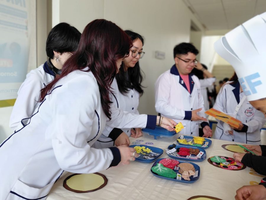 Escuelas del Maule participaron en Feria Didáctica de estudiantes de Pedagogía en Inglés UCM