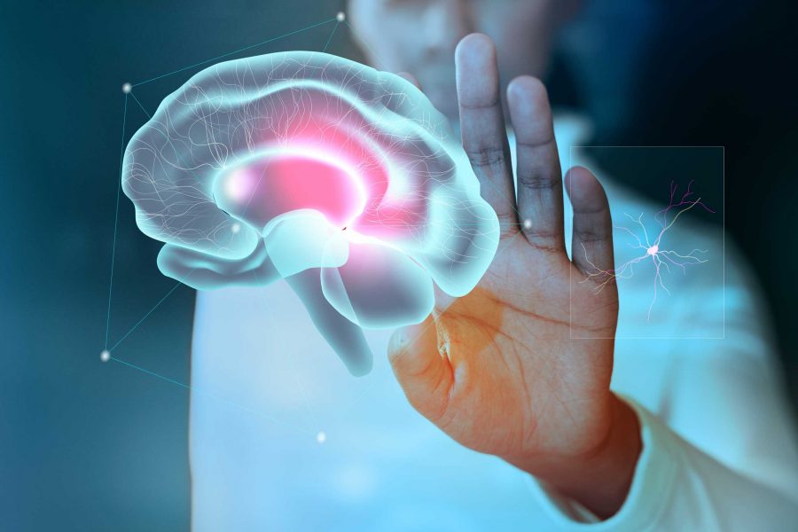 La inteligencia como conectividad cerebral eficiente asociada a tareas atencionales