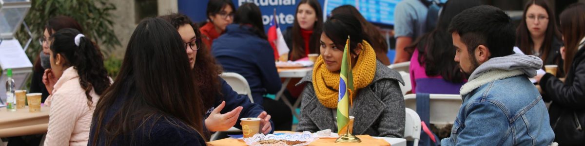 Cada vez más alternativas de intercambio internacional en la UCM