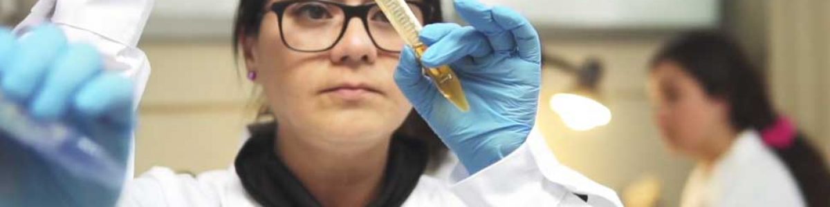 Estudian los beneficios de los flavonoides presentes en la cáscara y semilla de uvas