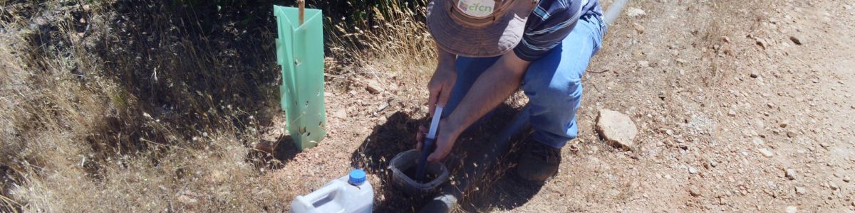 Investigador refuerza llamado para decretar al Maule como zona de emergencia agrícola