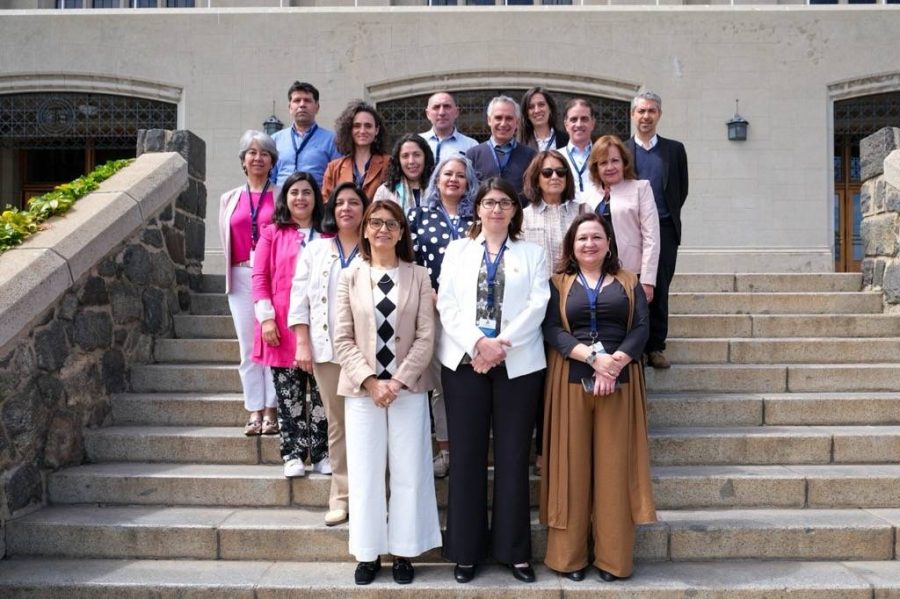 UCM participó en Jornada Red de Directores de Docencia y Pregrado del CRUCH