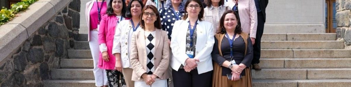 UCM participó en Jornada Red de Directores de Docencia y Pregrado del CRUCH