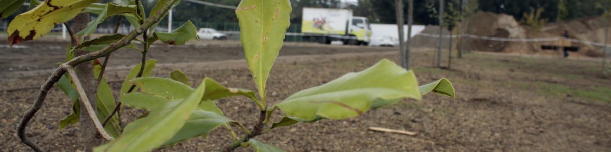 Jugar con elementos de la naturaleza es clave para el desarrollo de los niños