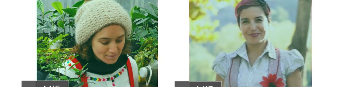 Cuentacuentos online acercan la lectura a niños y niñas durante la pandemia