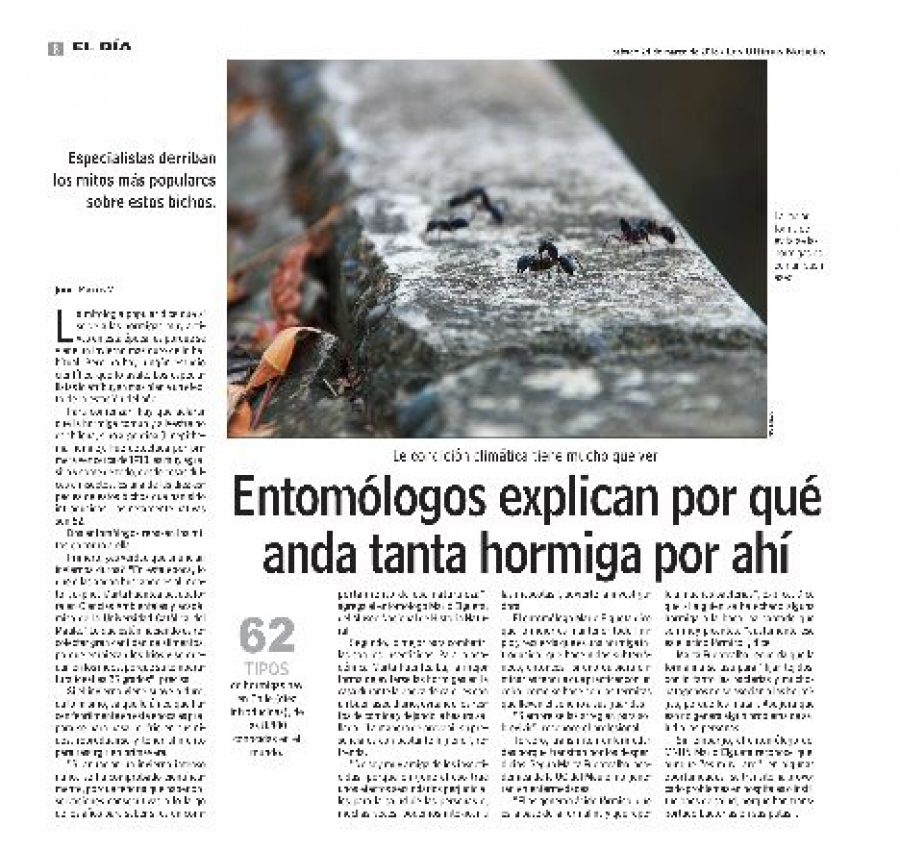 24 de marzo en LUN: “Entomólogos explican por qué anda tanta hormiga por ahí”