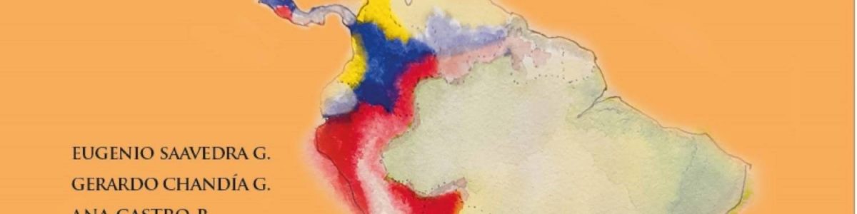 “La Pandemia nos golpea a todos”: Académicos UCM lanzaron nuevo libro