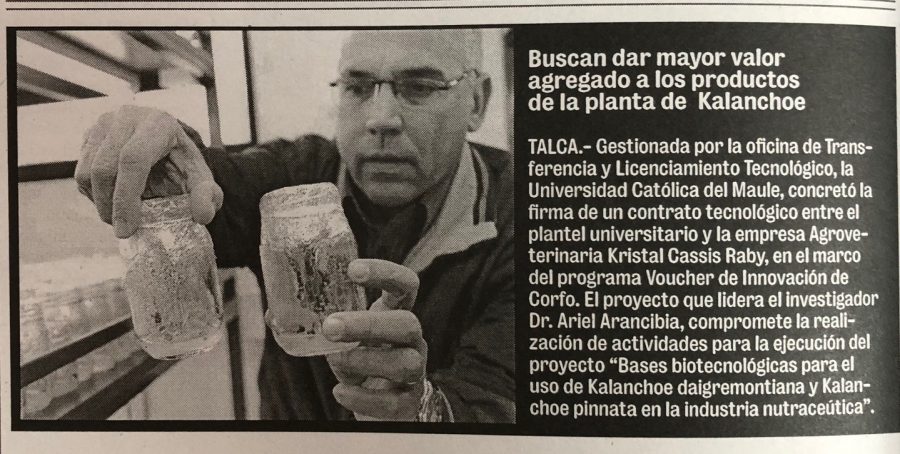 10 de enero en Diario La Prensa: “Buscan dar mayor valor agreado a los productos de la planta de Kalanchos”