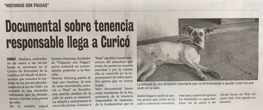 23 de enero en Diario La Prensa: “Documental sobre tenencia responsable llega a Curicó”