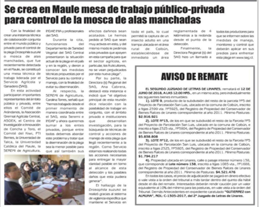 03 de junio en Diario El Lector: “Se crea en Maule mesa de trabajo público-privada para control de la mosca de alas manchadas”