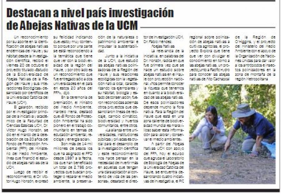 22 de octubre en Diario El Lector: “Destacan a nivel país investigación de Abejas Nativas de la UCM”