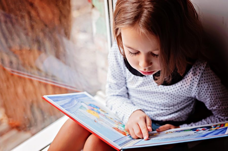 Investigación entrega luces sobre los componentes esenciales para el aprendizaje de la lectura