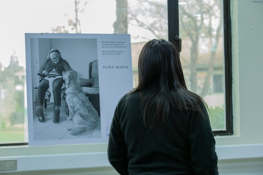 UCM inaugura exposición fotográfica que destaca el impacto positivo de la interacción con animales en adultos mayores