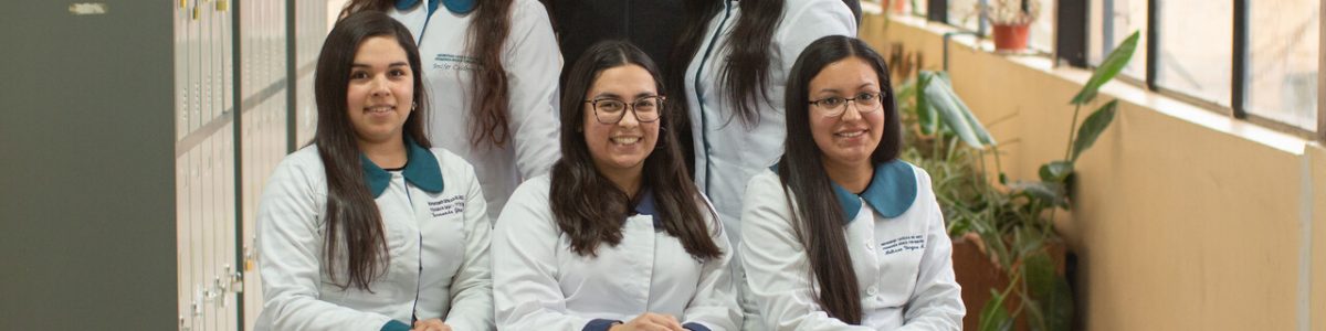 Investigación de estudiantes UCM diagnosticó la percepción del currículum priorizado en colegios de Curicó