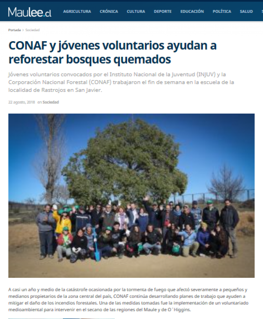 22 de agosto en Maulee: “CONAF y jóvenes voluntarios ayudan a reforestar bosques quemados”