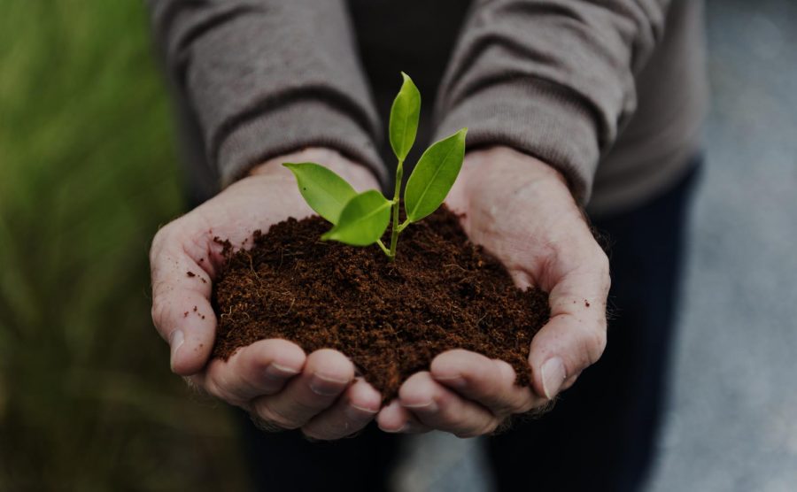 Con la nueva constitución, o con la actual, el cuidado de la naturaleza requerirá de investigación científica de calidad