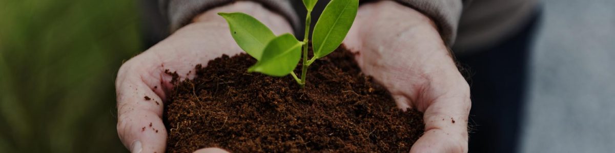 Con la nueva constitución, o con la actual, el cuidado de la naturaleza requerirá de investigación científica de calidad