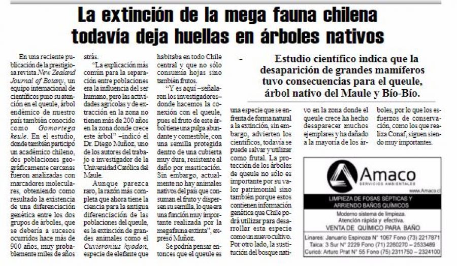 27 de julio en Diario El Heraldo: “La extinción de la mega fauna chilena todavía deja huellas en árboles nativos”