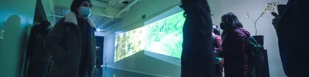 Con éxito se inauguró “Mutualistas”: Exposición colaborativa entre el Museo del Hongo y Extensión UCM
