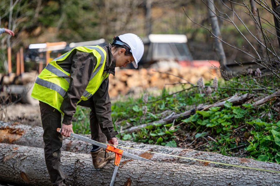 Sector forestal maulino se abre como nuevo y amplio campo de trabajo para las mujeres