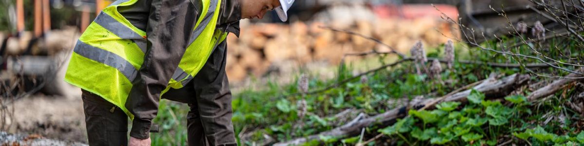 Sector forestal maulino se abre como nuevo y amplio campo de trabajo para las mujeres