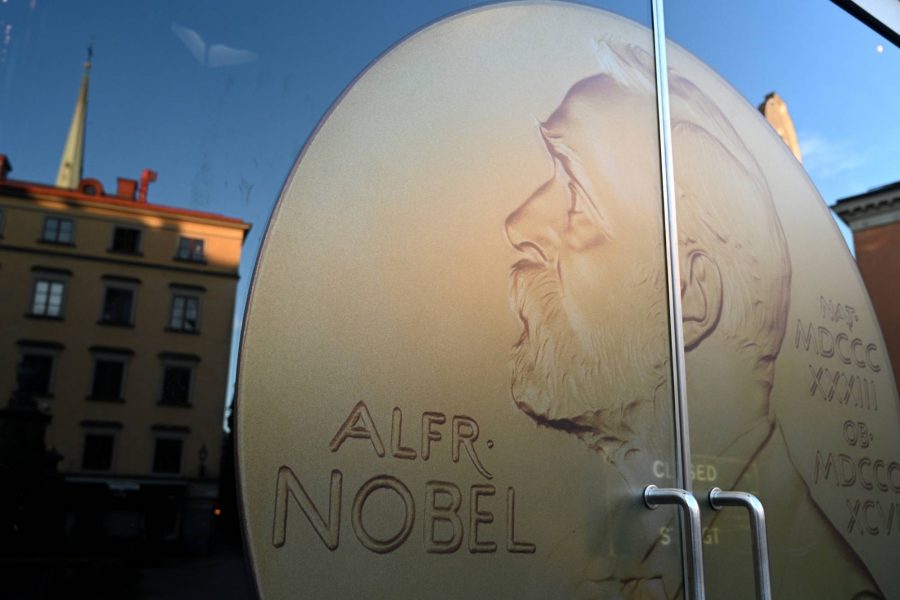 Opinión: “Reflexiones del Nobel 2024: Instituciones para un Desarrollo Sostenible”