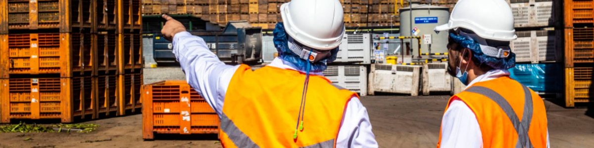 Crece la tasa de participación en el mercado laboral entre los habitantes del Maule