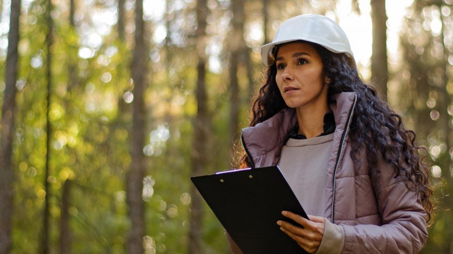 Observatorio Laboral busca conocer empleabilidad de las mujeres en sector forestal maulino