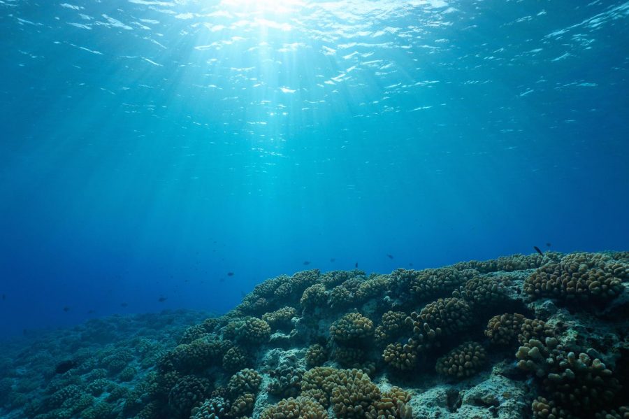 Opinión: “Esperanza sobre el cuidado de los océanos”