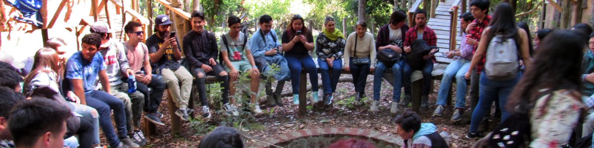 Organizaciones de San Clemente se benefician con el trabajo de universitarios de la UCM